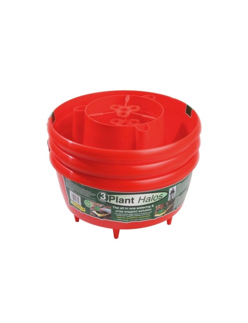 Pflanzenhalos (3er-Set) rot