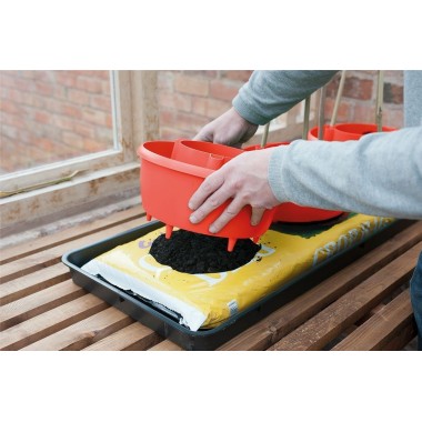 Pflanzenhalos (3er-Set) rot