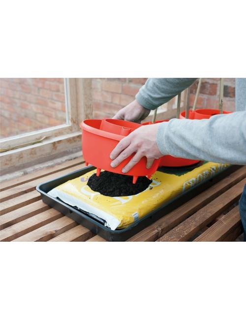 Pflanzenhalos (3er-Set) rot