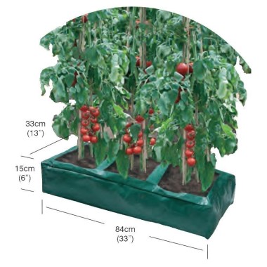 Standart Yetiştirme Torbası
