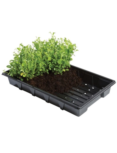 Professionelle Anzuchtschalen 5er-Set