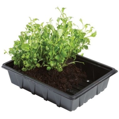 Professionelles Halbes Anzuchtschalen-Set, 5 Stück