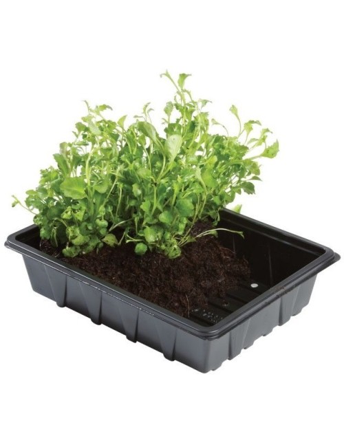 Professionelles Halbes Anzuchtschalen-Set, 5 Stück