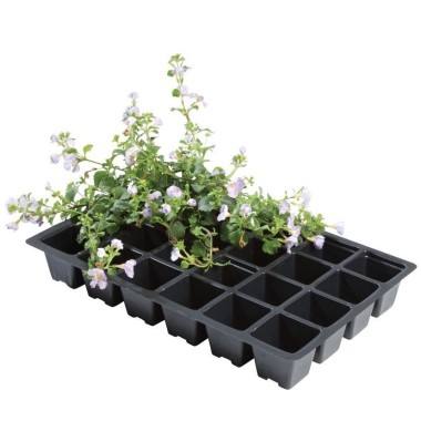 Professionelle Einsätze 24 Zellen (5er-Pack)