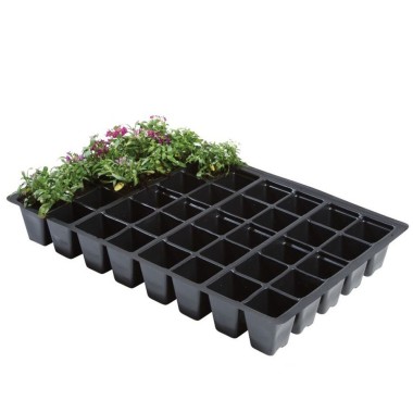 Professionelle Einsätze 40 Zellen (5er-Pack)