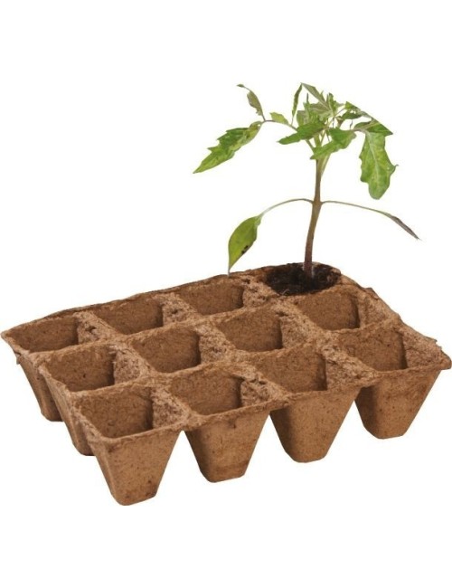 Pack mit 36 biologisch abbaubaren Fasertöpfen 5 cm