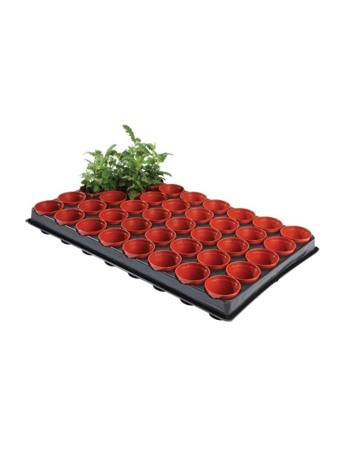 Professionelles Aussaat- und Stecklingsbrett (40 x 6 cm Töpfe)