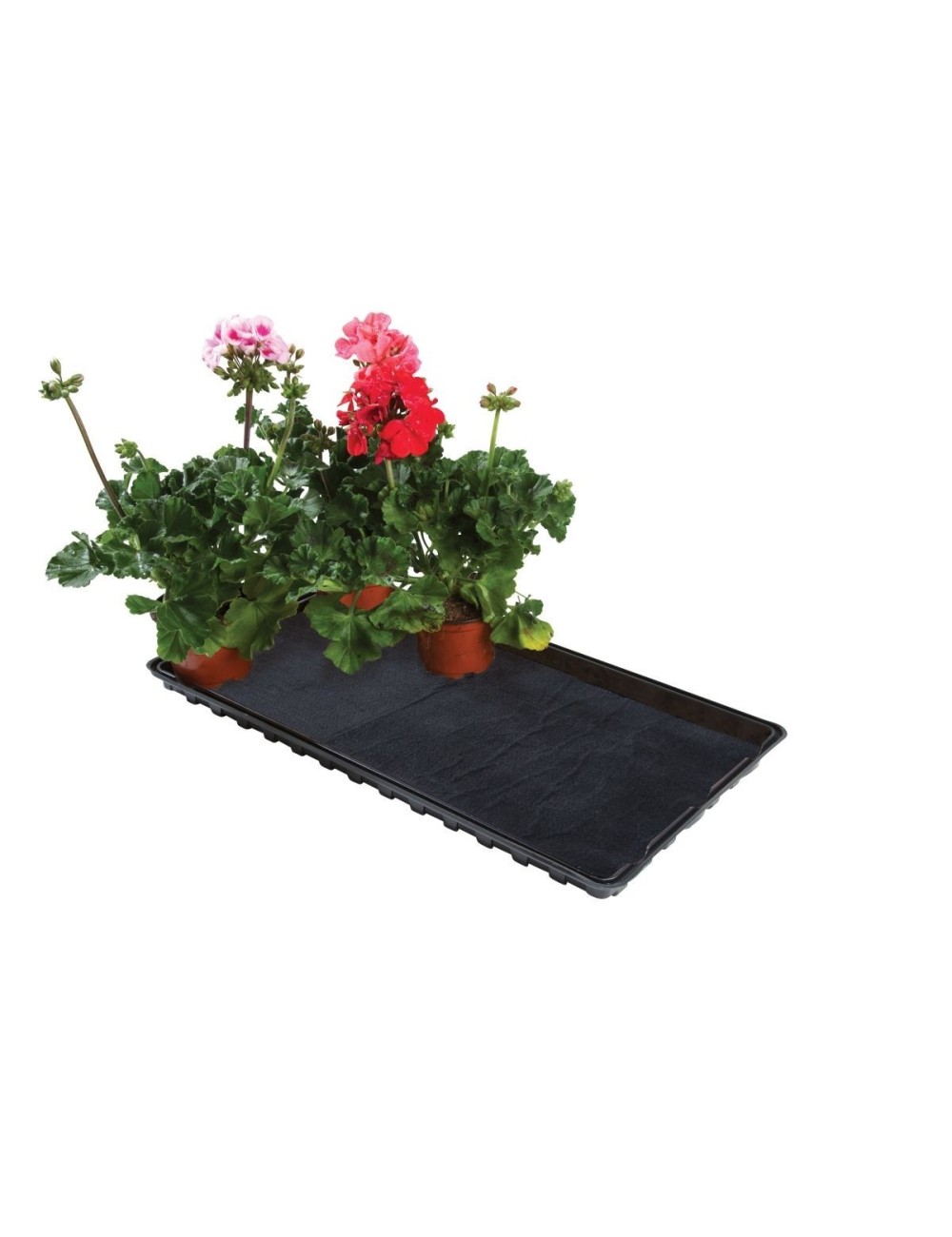 Bewässerungstablett/Kiesbett mit Kapillarmatte