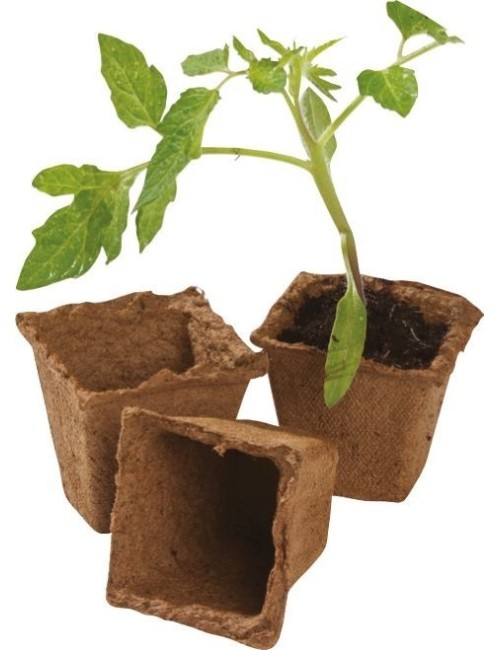 80 quadratische Fasertöpfe 6 cm (Extra-Value-Pack)