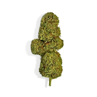 CBD Çiçeği - OG DIAMOND