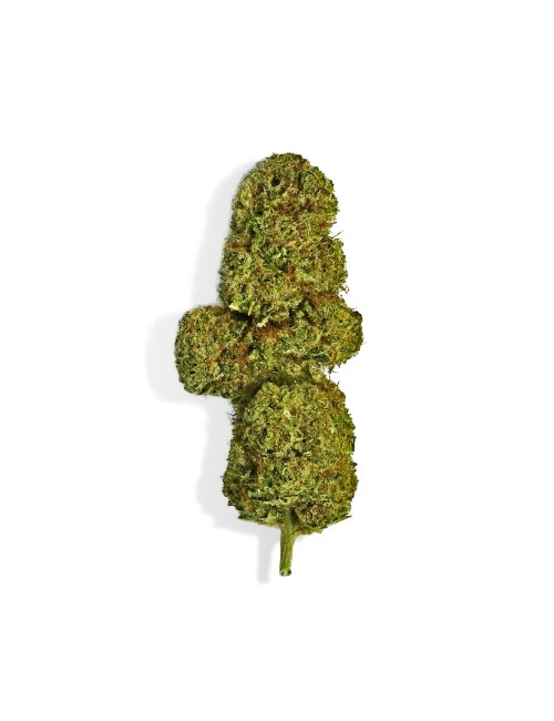 CBD Çiçeği - OG DIAMOND