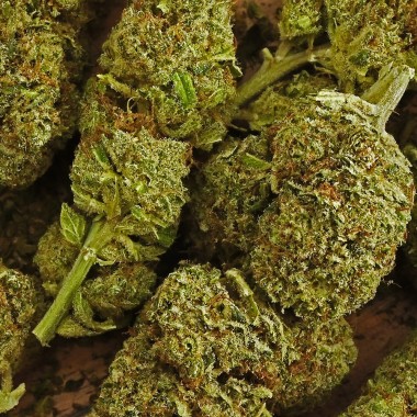 CBD Çiçeği - OG DIAMOND