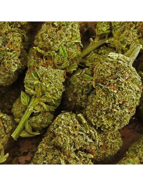 CBD Çiçeği - OG DIAMOND