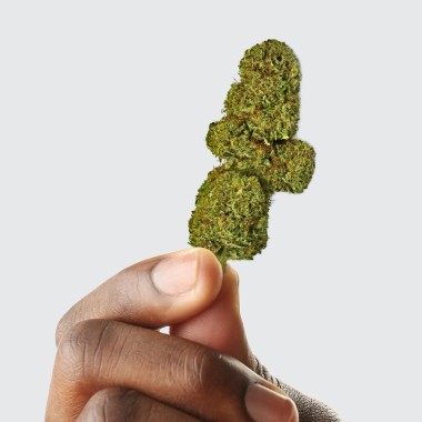 CBD Çiçeği - OG DIAMOND