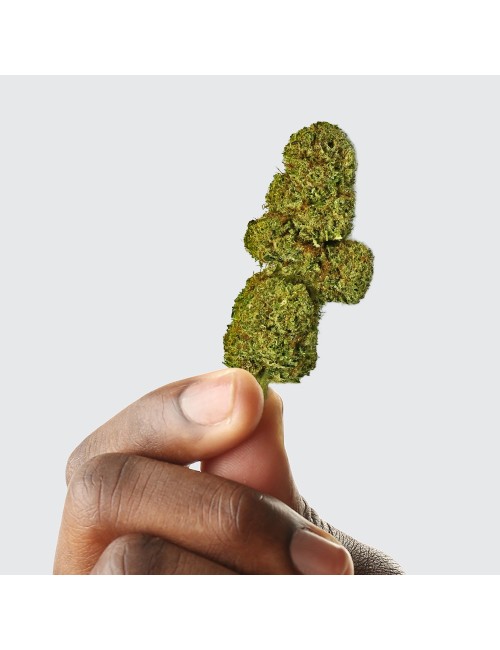 CBD Çiçeği - OG DIAMOND