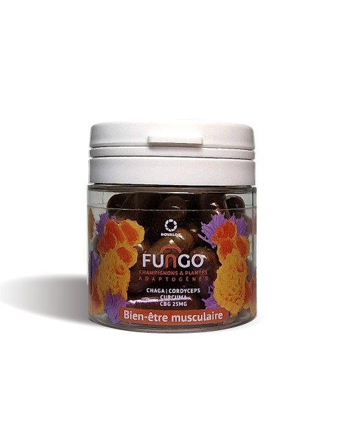 Kas Rahatlığı için CBG & Mantar Kapsülleri | FUNGO, NOVALOA