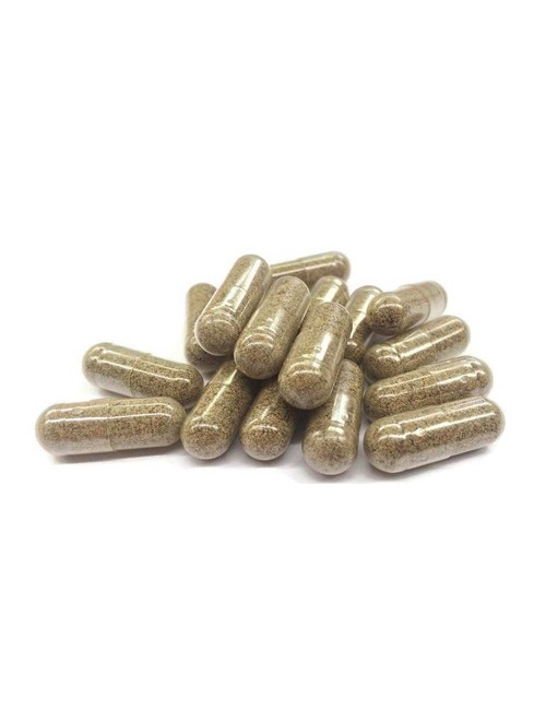 CBD Kapsül & Anti-Stres Mantarları | FUNGO, NOVALOA