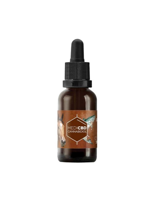 CBD Yağı %10 Geniş Spektrum At | MEDICBD