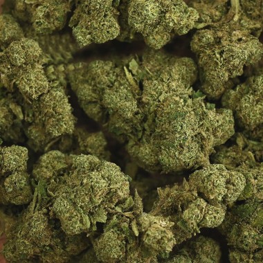 CBD Çiçeği - RAINBOW KUSH