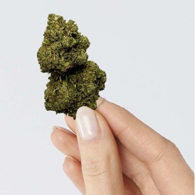 CBD Çiçeği - RAINBOW KUSH