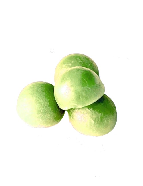 CBD Şeker Kaktüs Limon | NOVALOA