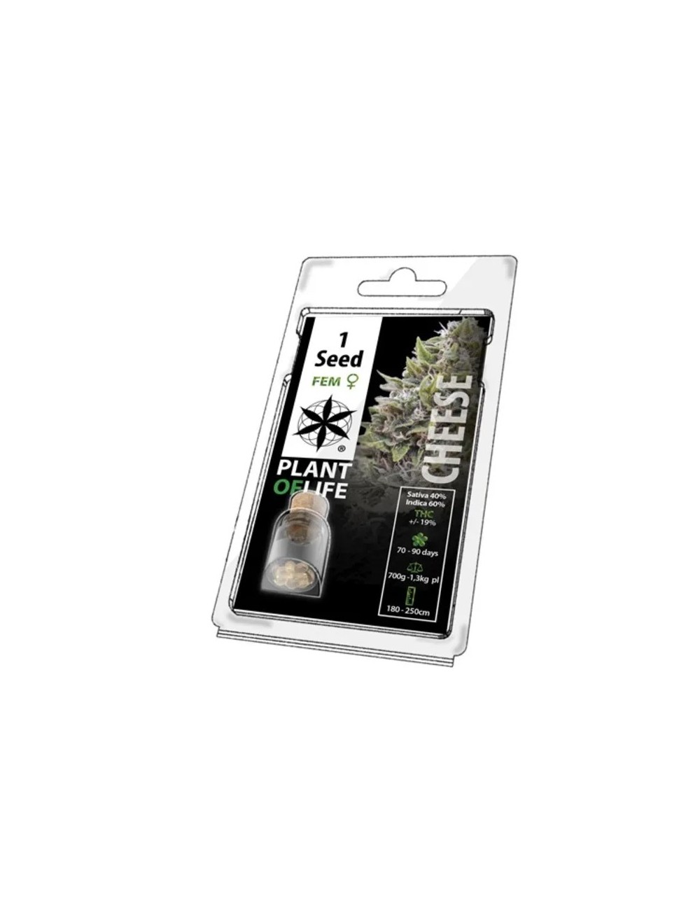 Sammelkorn CHEESE FEMINISIERT