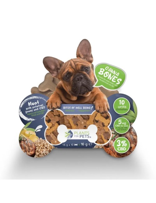 Köpekler için CBD Lezzetleri | PLANTS FOR PETS