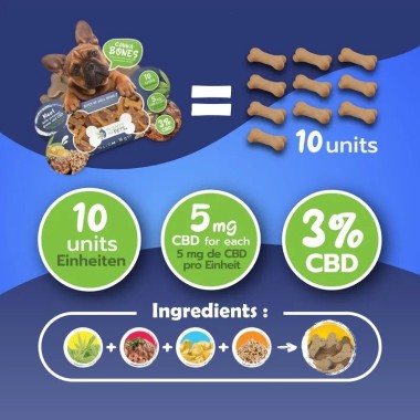 Köpekler için CBD Lezzetleri | PLANTS FOR PETS