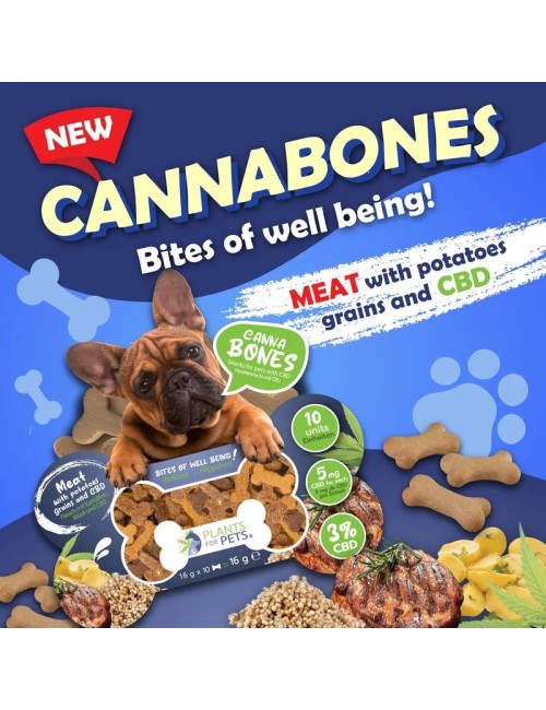 Köpekler için CBD Lezzetleri | PLANTS FOR PETS