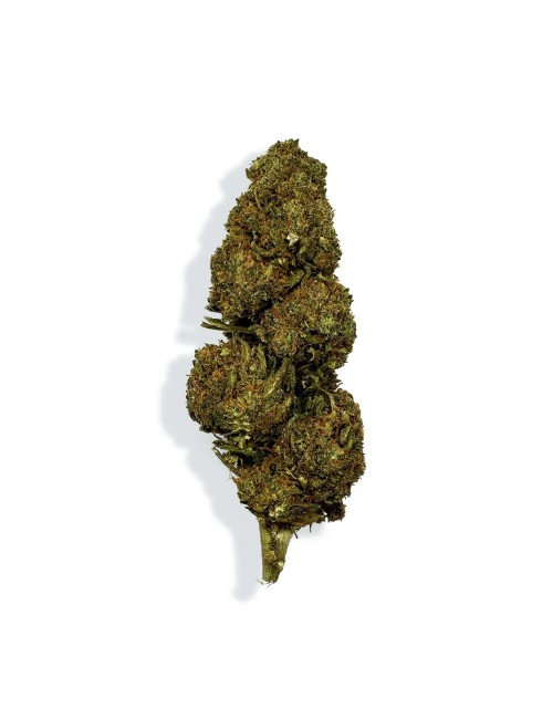 CBD Çiçeği - BLUEBERRY