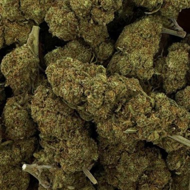 CBD Çiçeği - BLUEBERRY