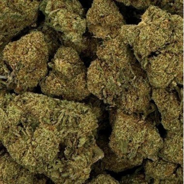 CBD Çiçeği - RASPBERRY HAZE