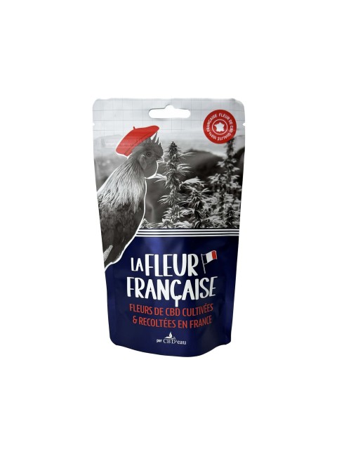 Set von 50 Beuteln | DIE FRANZÖSISCHE BLUME