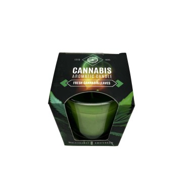 Kokulu Mum Taze Kenevir Yaprakları | MULTITRANCE