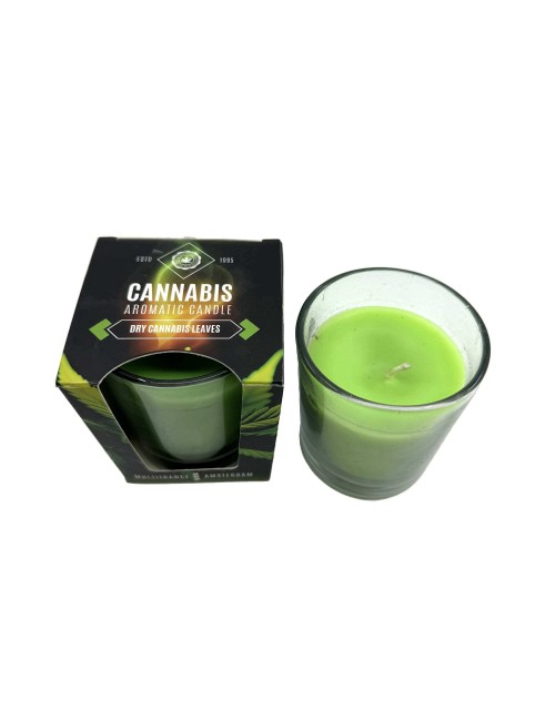 Kokulu Mum Kurutulmuş Kenevir Yaprakları | MULTITRANCE