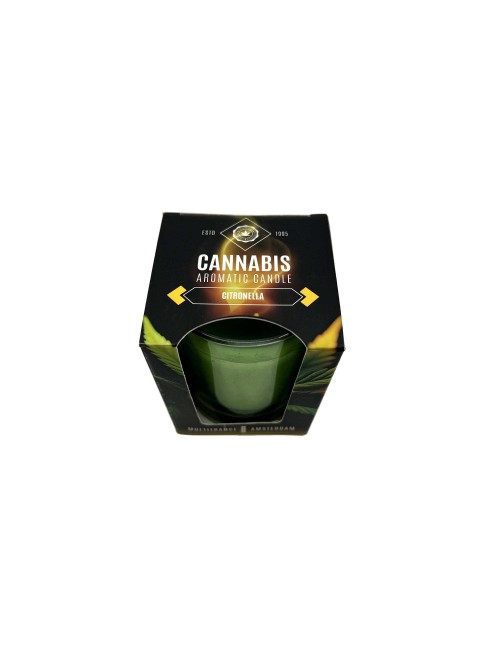 Esanslı Mum Kenevir Limonotu | MULTITRANCE