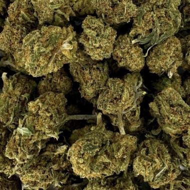 Small Bud Premium Böğürtlen CBD