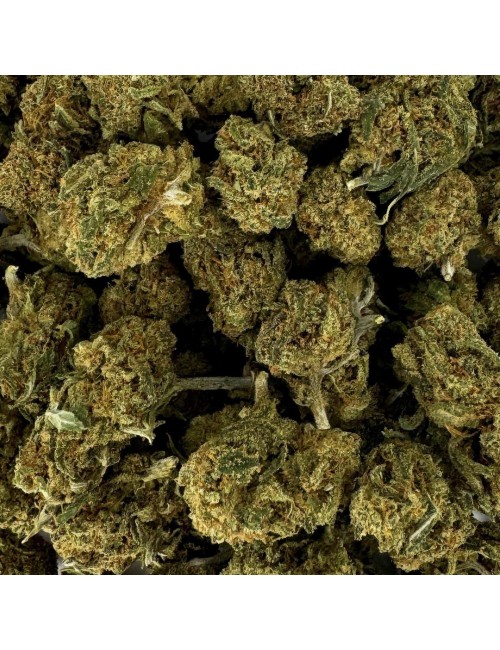 Small Bud Premium Böğürtlen CBD