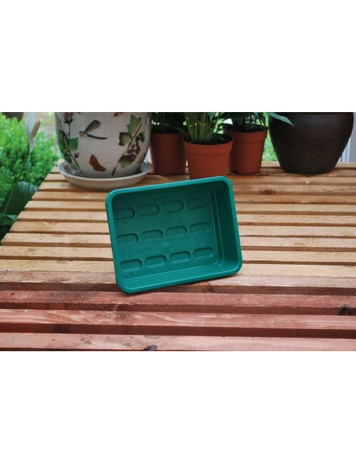 Mini-Garten Grünes Tablett Ohne Löcher