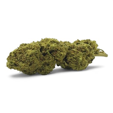 CBD Çiçeği Remedy İç Mekan Premium