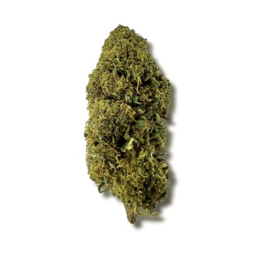 CBD-Blüte MCP-N 20%