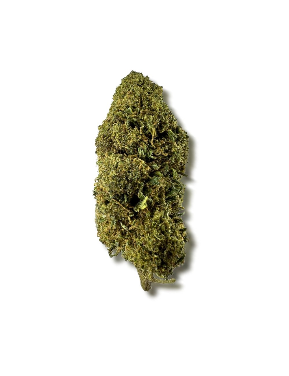 CBD-Blüte MCP-N 20%