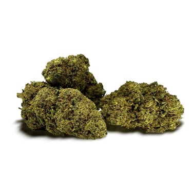 CBD-Blüte MCP-N 20%