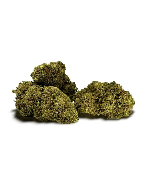 CBD-Blüte MCP-N 20%