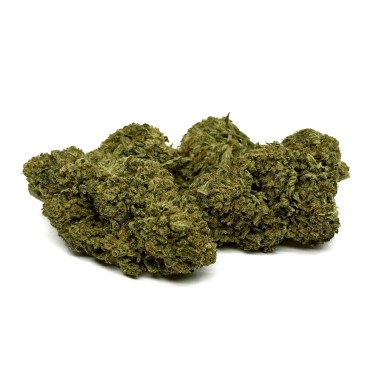 CBD Çiçeği Cali Weed İç Mekan