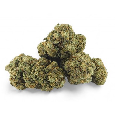 CBD Çiçeği Cali Weed İç Mekan