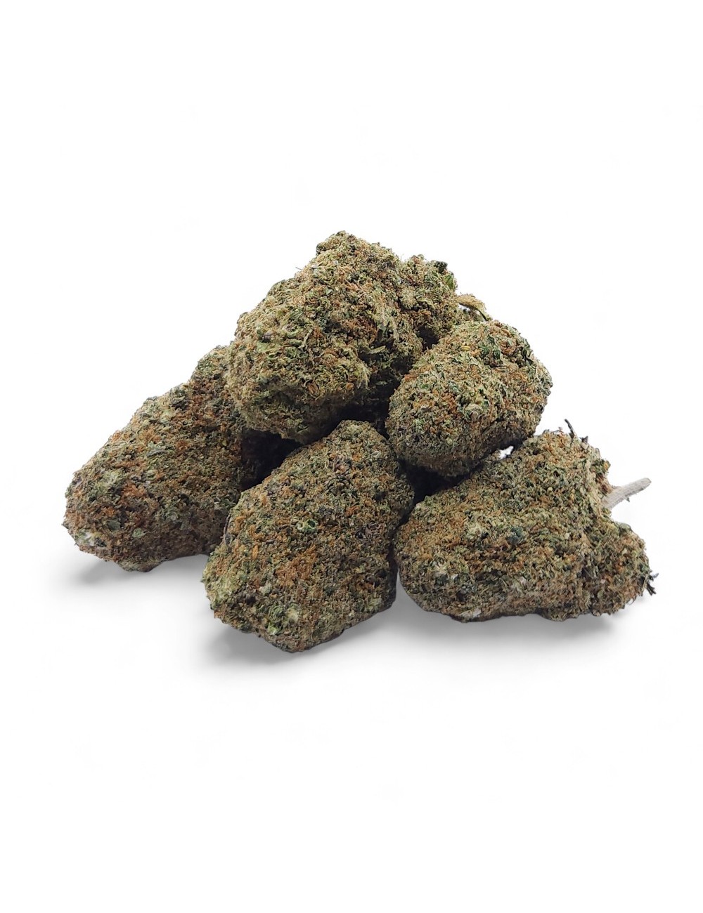 CBD Çiçek Gelato Glue Indoor Premium