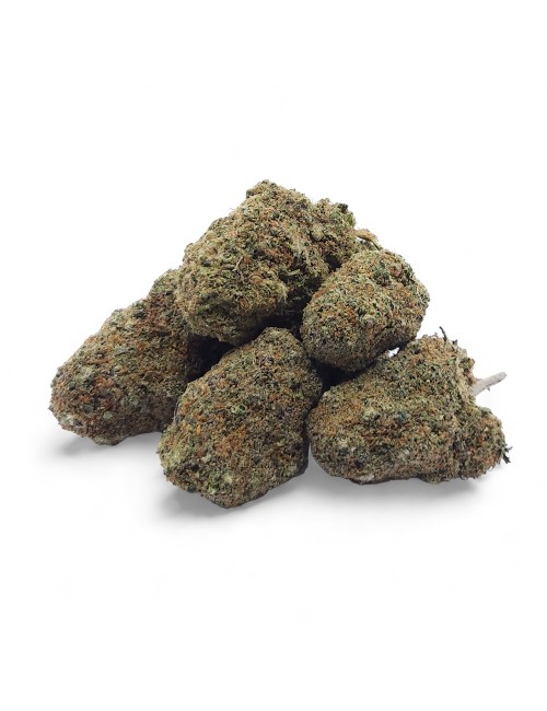 CBD Çiçek Gelato Glue Indoor Premium