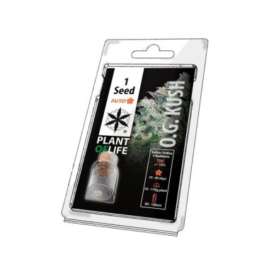 Sammelkorn OG KUSH AUTO