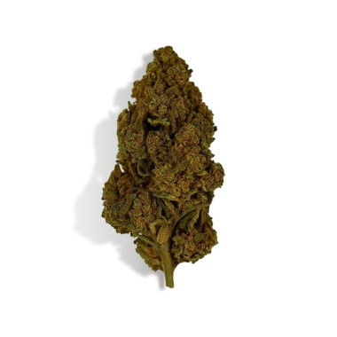 CBD Çiçeği Tonic Kush